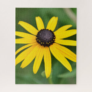 Schwarz Mit Augen Susan - 16x20 520 Stk. Blumenpuz Puzzle