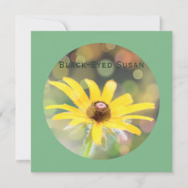 Schwarz-Mit Augen Susan-Blume auf Dunkelmeergrün Feiertagskarte