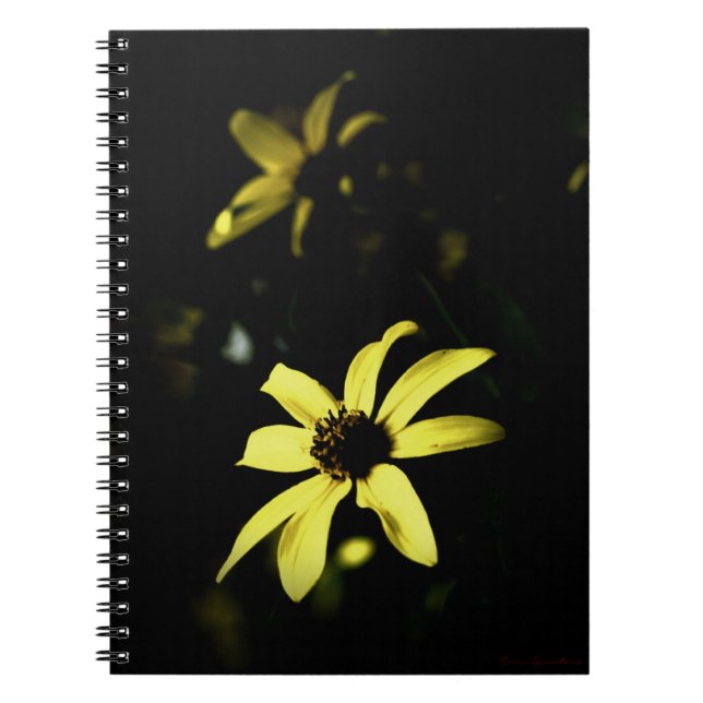Schwarz-Mit Augen Susan Flower Notebook Journal Notizblock (Vorderseite)