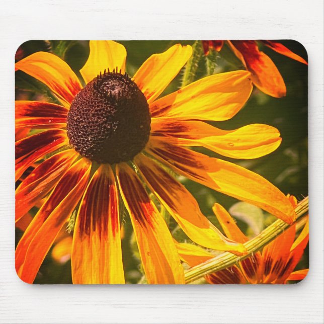 "Schwarz-Mit Augen Susan" Mousepad (Vorne)