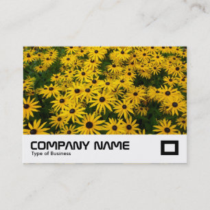 Schwarz-mit Augen Susans (Rudbeckia Hirta) Visitenkarte