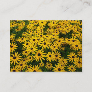 Schwarz-mit Augen Susans (Rudbeckia Hirta) Visitenkarte