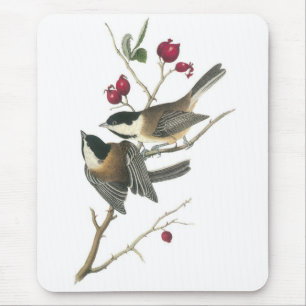 Schwarz-mit einer Kappe bedeckter Chickadee, John Mousepad