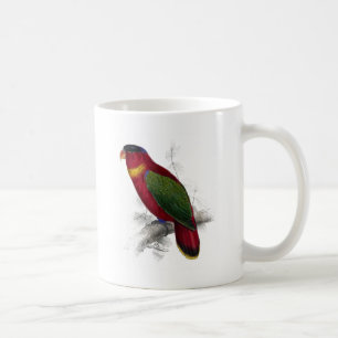 Schwarz-Mit einer Kappe bedeckter Lory durch Tasse