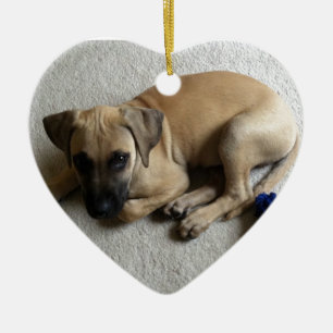 Schwarz-Mund Kanaillewelpe mit blauem Spielzeug Keramik Ornament