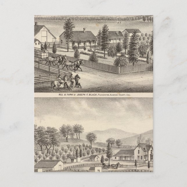 Schwarz, Nealresidenzen, Grundstücke Postkarte (Vorderseite)