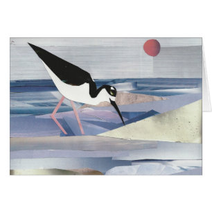 Schwarz-necked Stelze