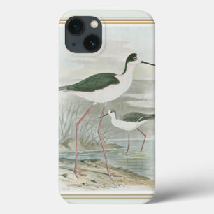 Schwarz-Necked Stelzen durch das Wasser iPhone 13 Hülle
