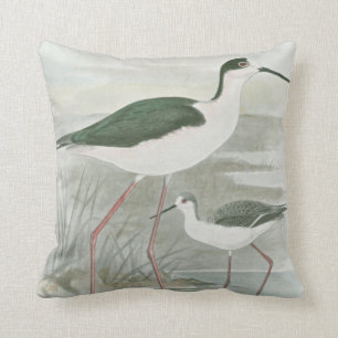 Schwarz-Necked Stelzen durch das Wasser Kissen