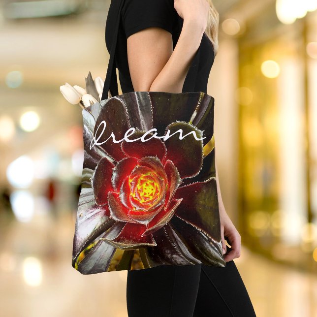 Schwarz-Orange-Kakteen Fotografie Traumskript fett (Von Creator hochgeladen)