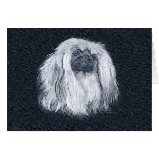 Schwarz-Portrait (Vorderseite (Horizontal))