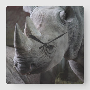 Schwarz Rhinozeros Foto Quadratische Wanduhr