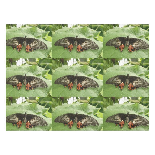 Schwarz-Rot-Gold-Schmetterling-Tablette Tischdecke (Vorderseite (Horizontal))