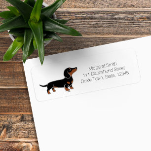 Schwarz-roter Dachshund beim Posieren