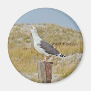 Schwarz-Rücken-Gull-Serie Magnet