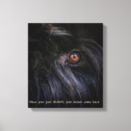 Schwarz-Russischer Terrier Print Leinwanddruck