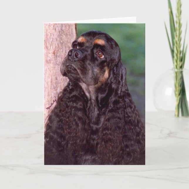 Schwarz & tan Champion Cocker Spaniel Grußkarte Karte (Vorderseite)