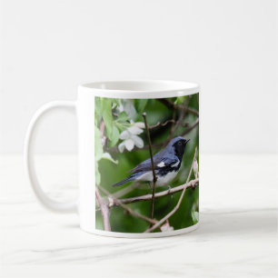 Schwarz-throated blauer Trällerer Kaffeetasse