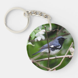 Schwarz-throated blauer Trällerer Schlüsselanhänger