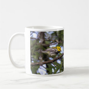 Schwarz-throated grüner Trällerer Tasse