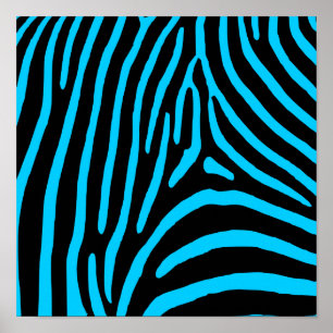 Schwarz und Aqua Zebrastreifen Poster
