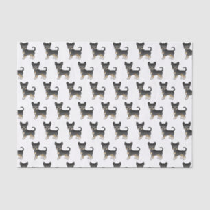 Schwarz und Braun glatthaariger Chihuahua-Hund-Mus Seidenpapier