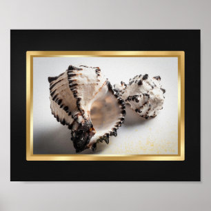 Schwarz und Gold tropische Seashell Printable Art Poster
