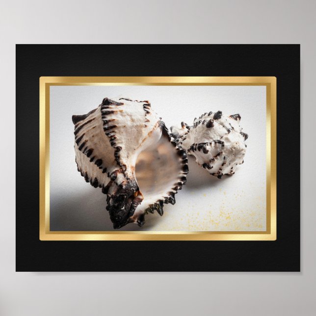 Schwarz und Gold tropische Seashell Printable Art Poster (Vorne)