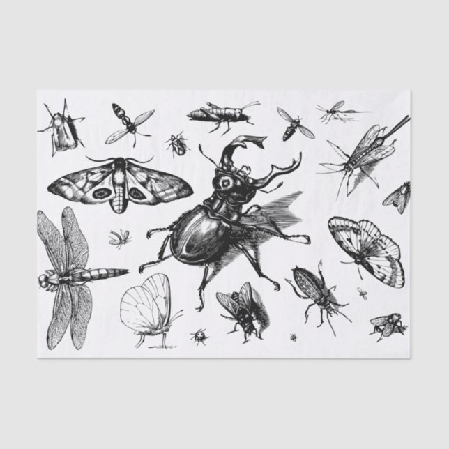 Schwarz und Grau Seidenpapier (Vorderseite)