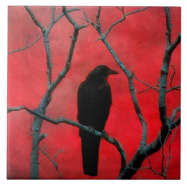 Schwarz und Rot Fliese