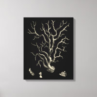 Schwarz und Tan Coral