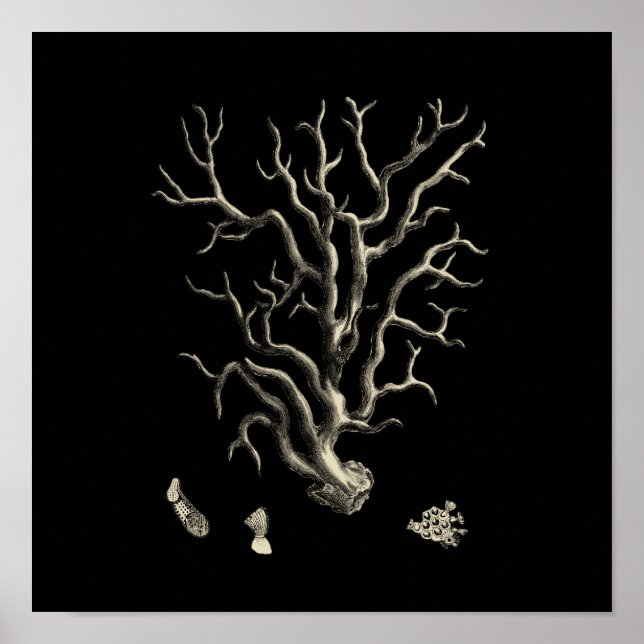 Schwarz und Tan Coral Poster (Vorne)