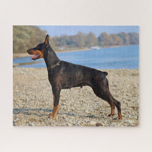 Schwarz und Tan Doberman Pinscher an der Küste Puzzle