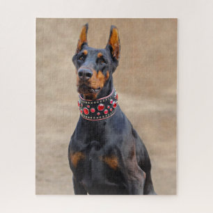 Schwarz und Tan Doberman Pinscher Puzzle