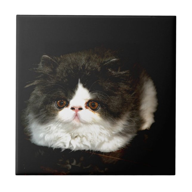 Schwarz und Weiß Fliese (Vorderseite)