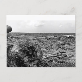 Schwarz und Weiß, Foto, Standardpostkarte Postkarte