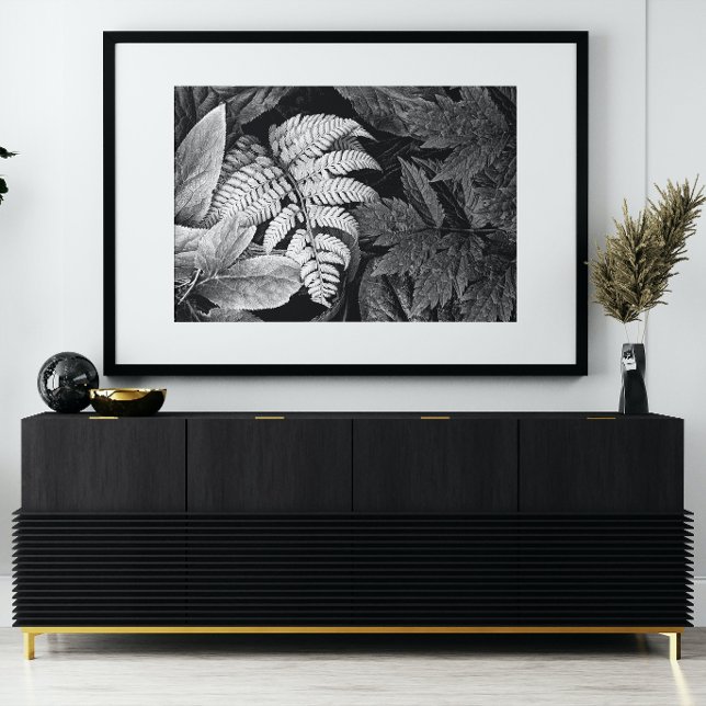 Schwarz und Weiß in Fern und Folien Fotodruck (In Situ Framed)