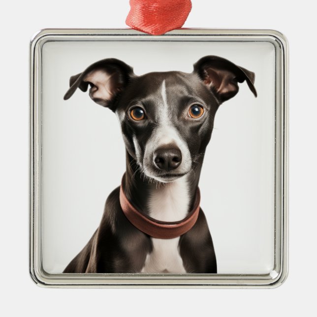 SCHWARZ UND WEISS ITALIENISCHER GREYHOUND HUND ORNAMENT AUS METALL (Vorne)