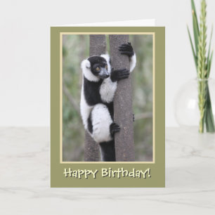 Schwarz und Weiß Lemur Happy Birthday Karte