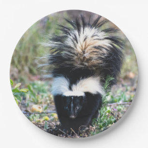 Schwarz und Weiß Pappteller