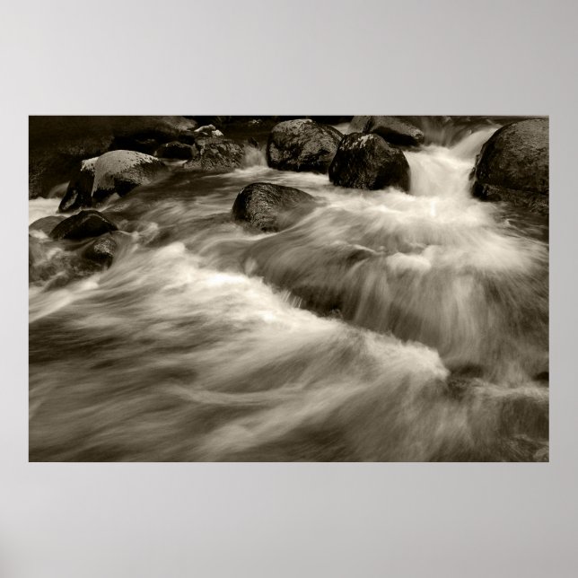 Schwarz und Weiß Poster (Vorne)