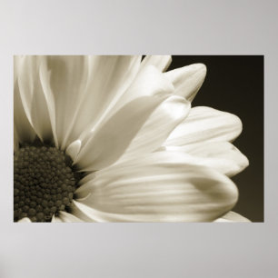 Schwarz und Weiß Poster