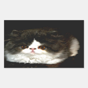 Schwarz und Weiß Rechteckiger Aufkleber