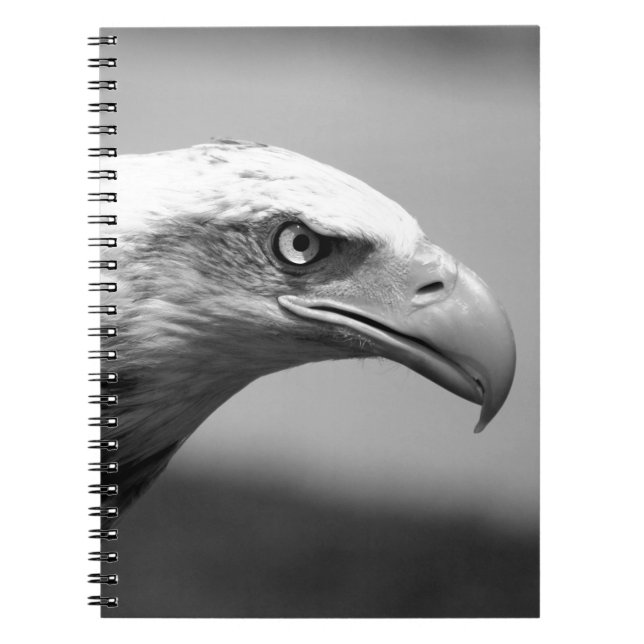 Schwarz-Weiß-Adler Notizblock (Vorderseite)