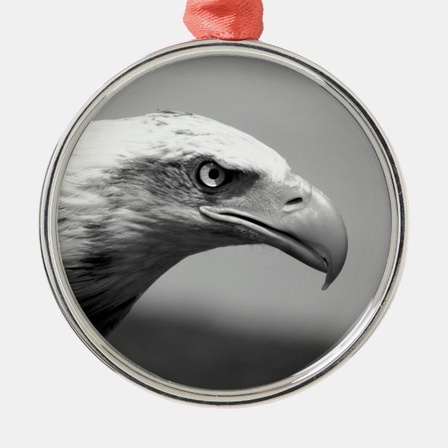 Schwarz-Weiß-Adler Silbernes Ornament (Vorne)