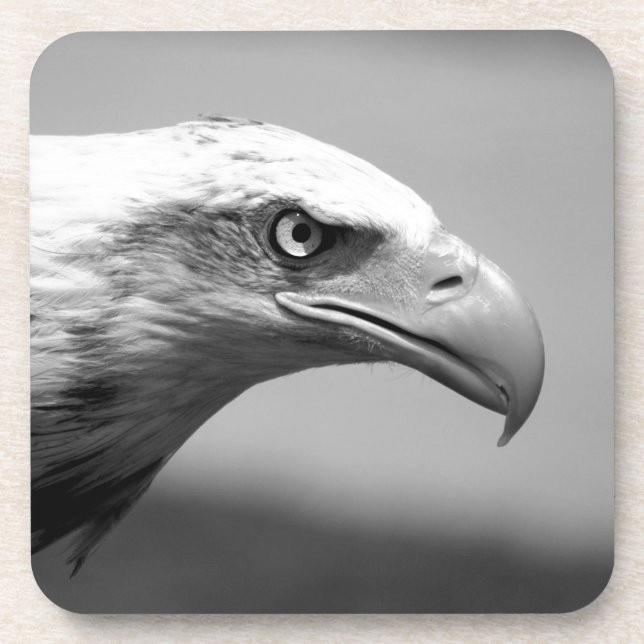 Schwarz-Weiß-Adler Untersetzer (Vorderseite)