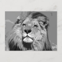Schwarz-Weiß-Afrikanische Lion