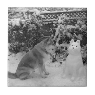 Schwarz-Weiß-Akita mit Schneehund Fliese