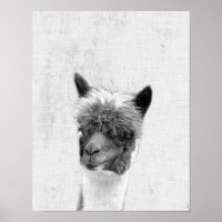 Schwarz-weiß-Alpaka-Minimalist-Nursery Peekaboo