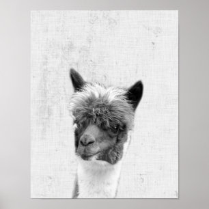 Schwarz-weiß-Alpaka-Minimalist-Nursery Peekaboo Poster